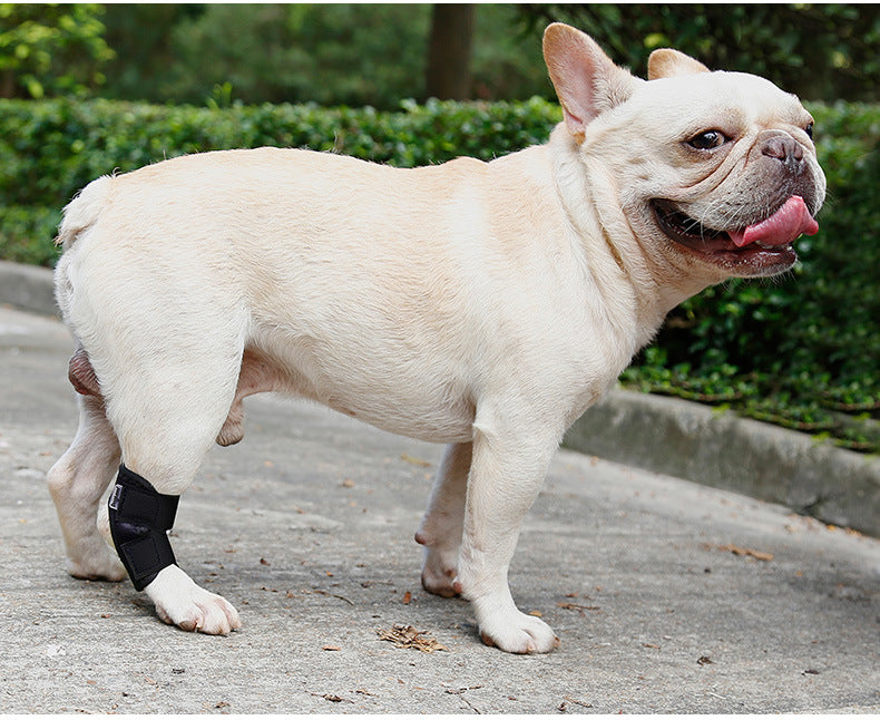 Dog Recovery Anti-Lick Joint Fixation Strap