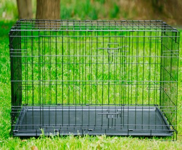 Multi-Size Sturdy Folding Dog Crate