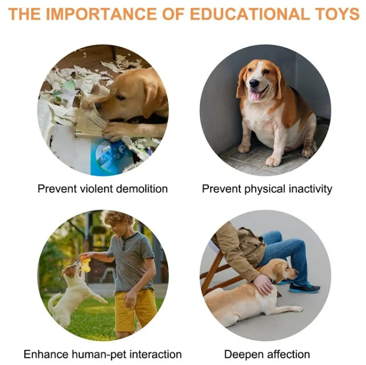 Interactive Pet Training Toy