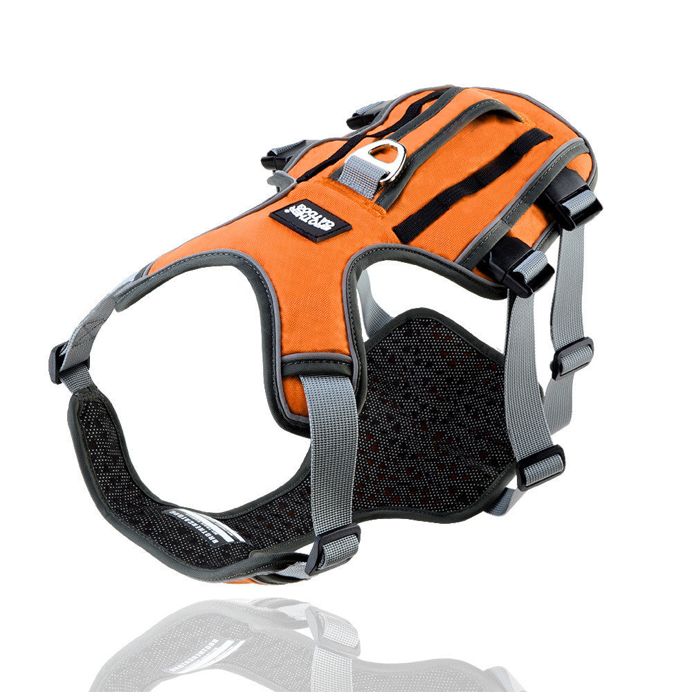 Adjustable Nylon Dog Harness and Leash Set