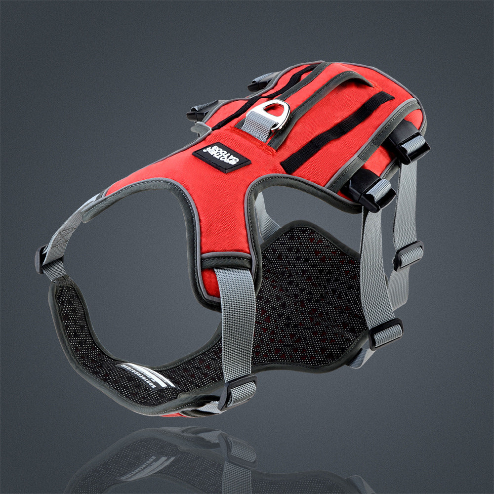 Adjustable Nylon Dog Harness and Leash Set
