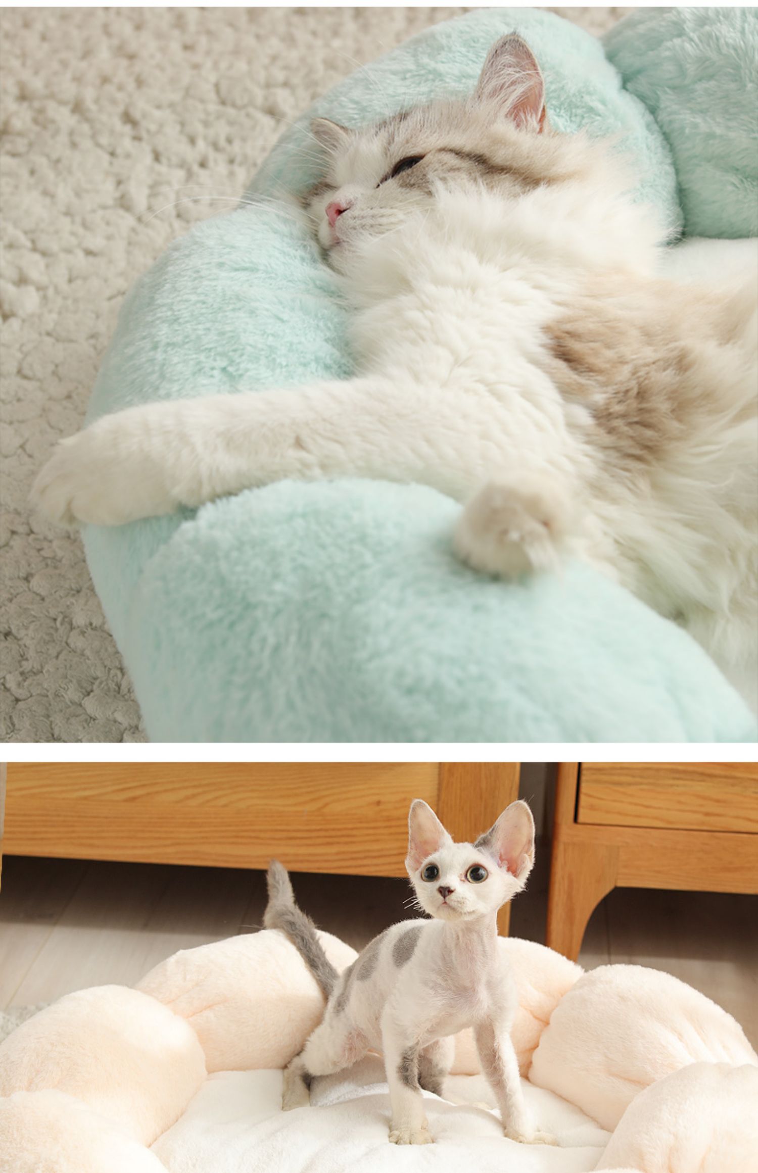 Washable Cozy Cat and Dog Bed