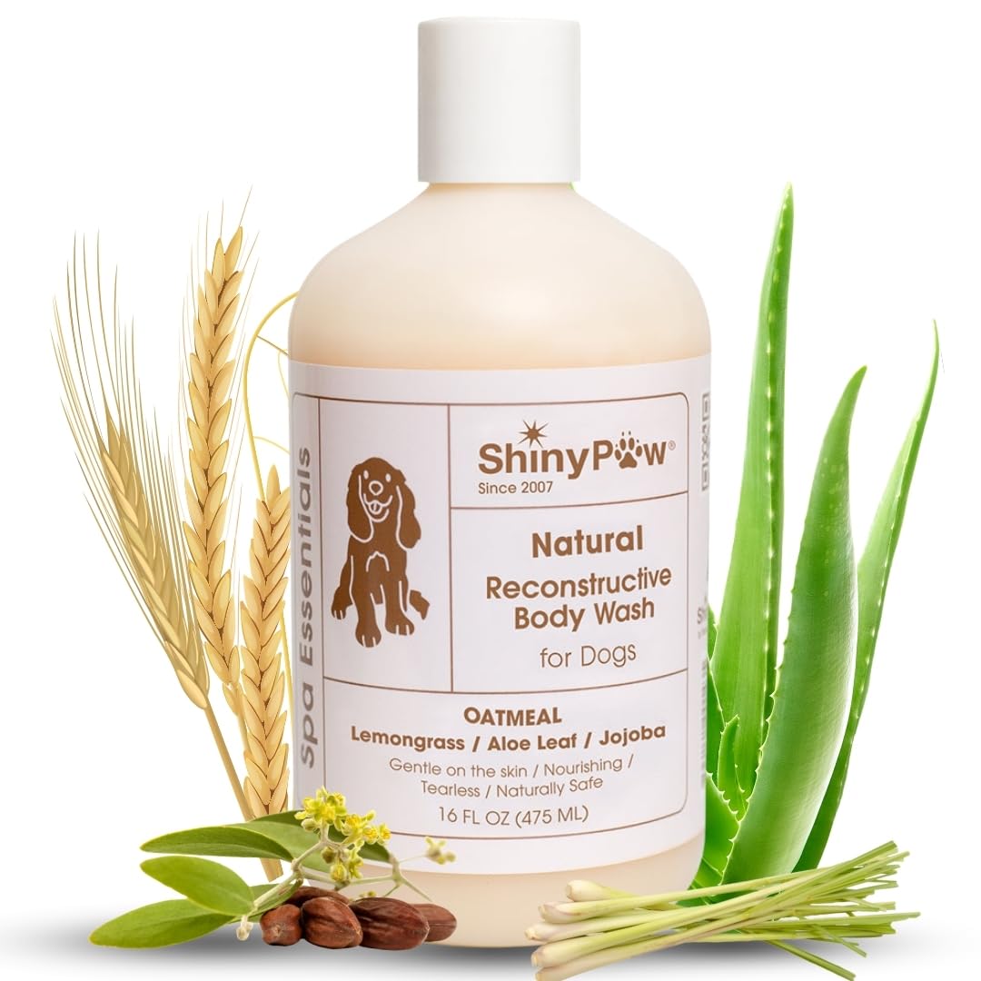 Shampoo all'Avena per Cani | Shampoo per Cani ShinyPaw per Allergie e Prurito | Controlla la Perdita di Pelo del Cane Naturalmente | Sollievo per la Pelle Pruriginosa dei Cani | Shampoo e Balsamo per Cani Senza Lacrime Fatto negli Stati Uniti | 473 ml