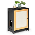 Cat Litter Box Enclosure, Hidden Cat Washroom, Kitty End Table, Litter Cabinet With Sisal Door,Black