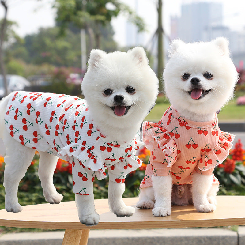 Paw Print Stylish Pet Shirt