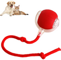 Smart Auto-Rolling Pet Ball – Interactive Toy for Dogs & Cats