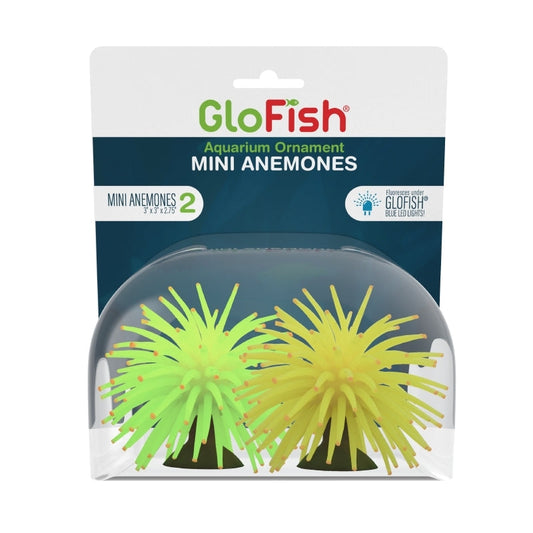 Mini anémones décoratives GloFish