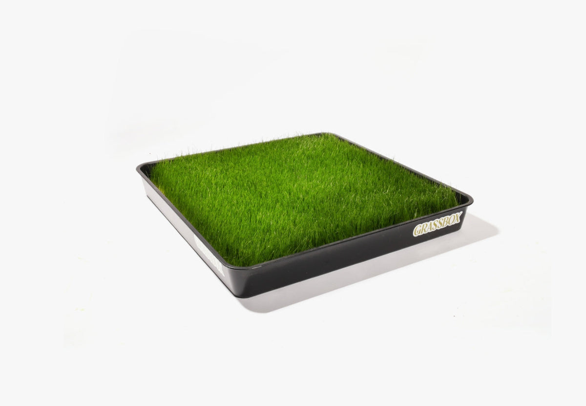 Optional Reusable Tray