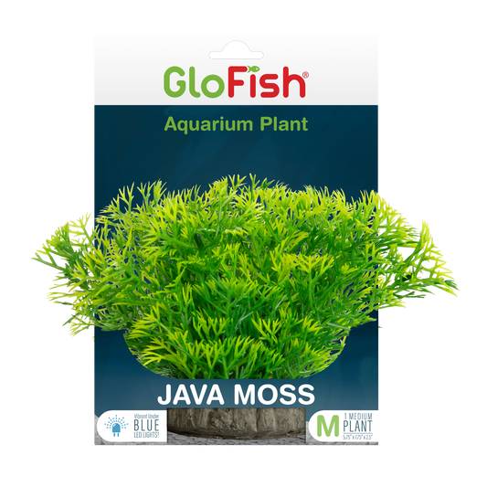 Ornement GloFish JavaMoss