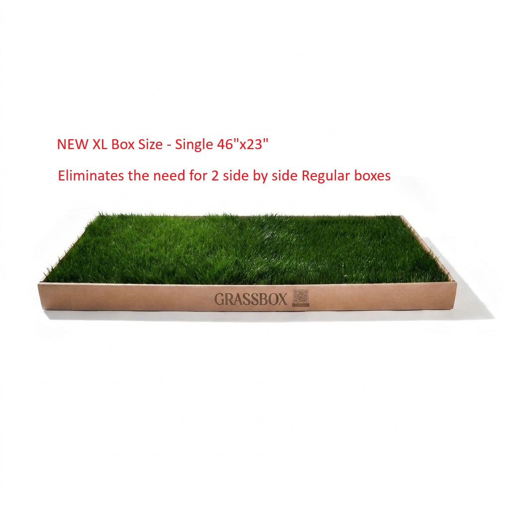 Real GrassBox