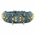 Fashionable Anti-Bite Dog Collar Chain for Protection