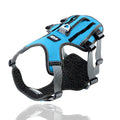 Custom K9 Harness and Leash for Dogs of All Sizes