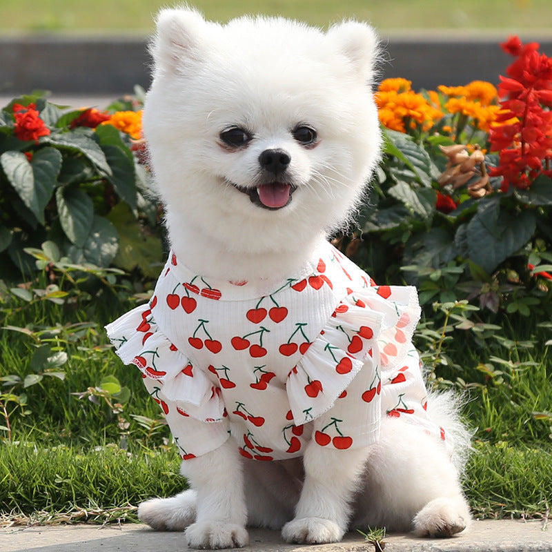 Paw Print Stylish Pet Shirt