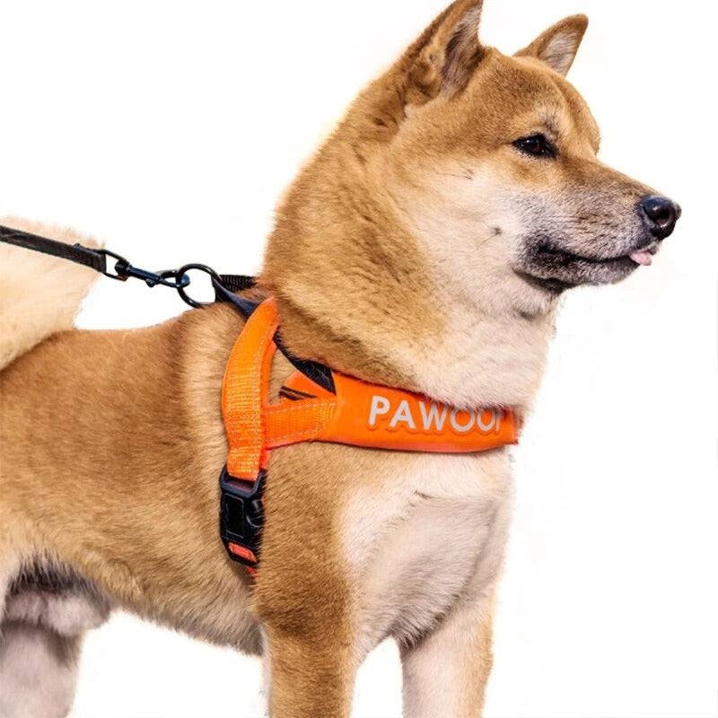 Adjustable Dog Harness and Leash Set, XS–XL