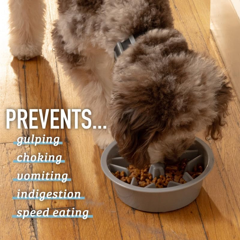 Slow Feeder Dog Bowl, 2 Cup, Puzzle Food Bowl, Gray
