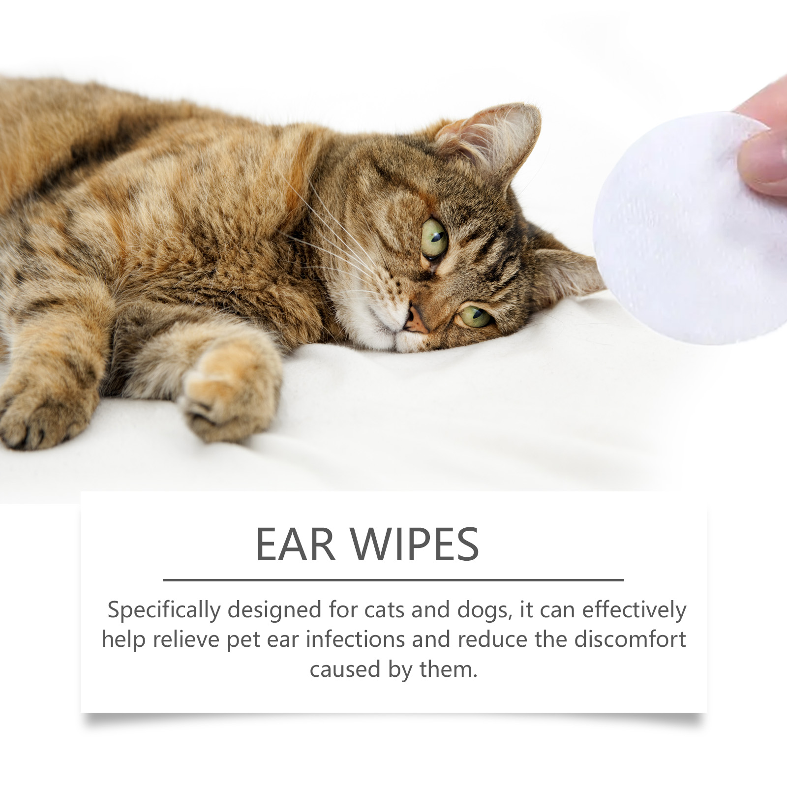 Pet Ear Hygiene Wipes