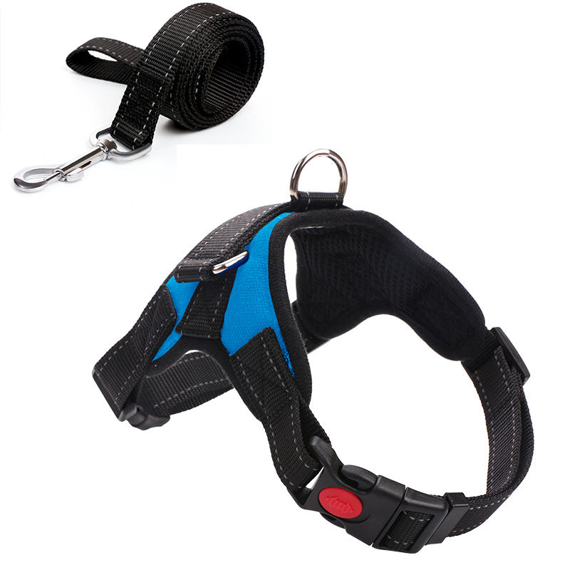 Pet Harness and Leash for Large Dogs (Direct from Manufacturer)