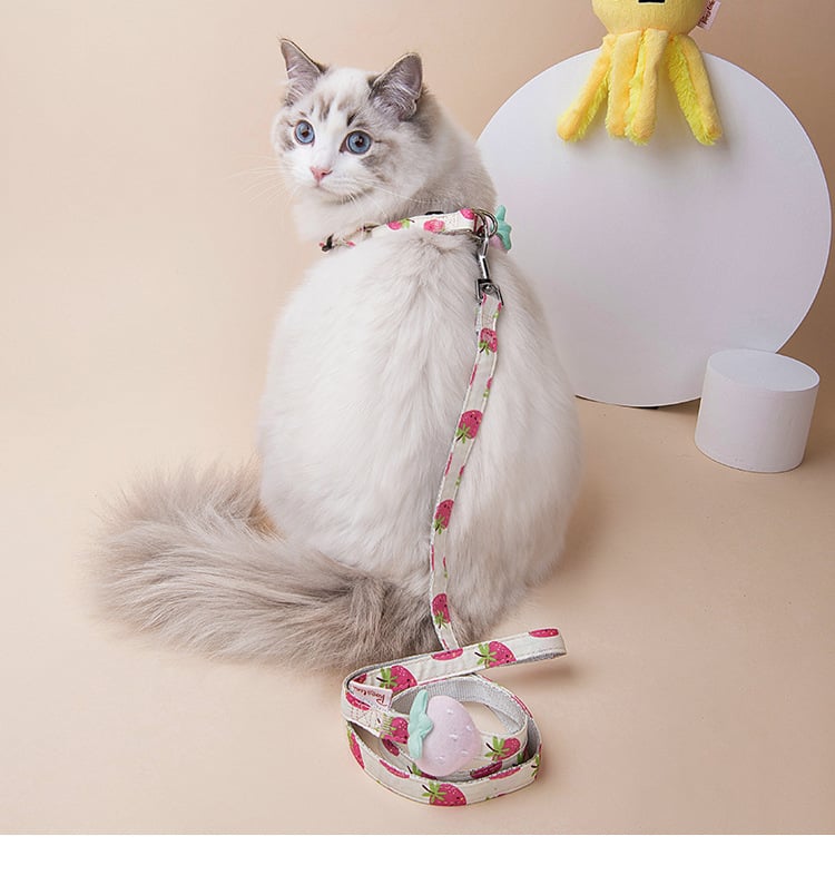 Fruit Series Cat or Dog Collars and Leash