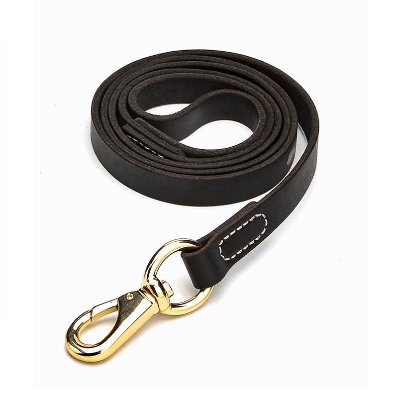 Cowhide Dog Leash for Medium to Large Breeds