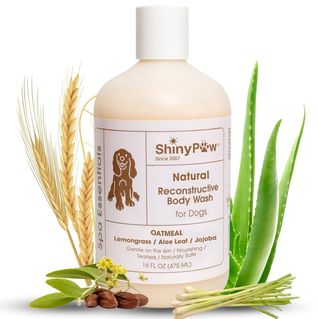 Oatmeal Shampoo for Dogs | ShinyPaw Dog Shampoo for Allergies and Itching | Controls Dog Shedding Naturally | Itchy Skin Relief for Dogs | Tearless Dog Shampoo & Conditioner Made in The USA | 16 oz