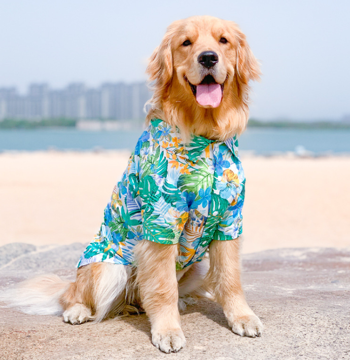 Summer Shirts for Dogs