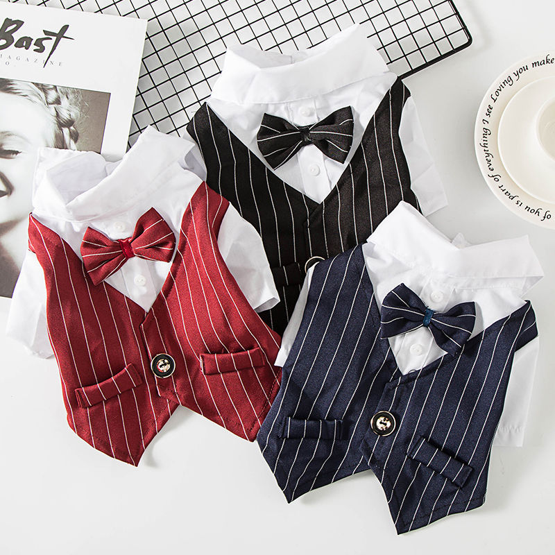 Summer Suit for Small Dogs and Cats (Teddy & Pomeranian)