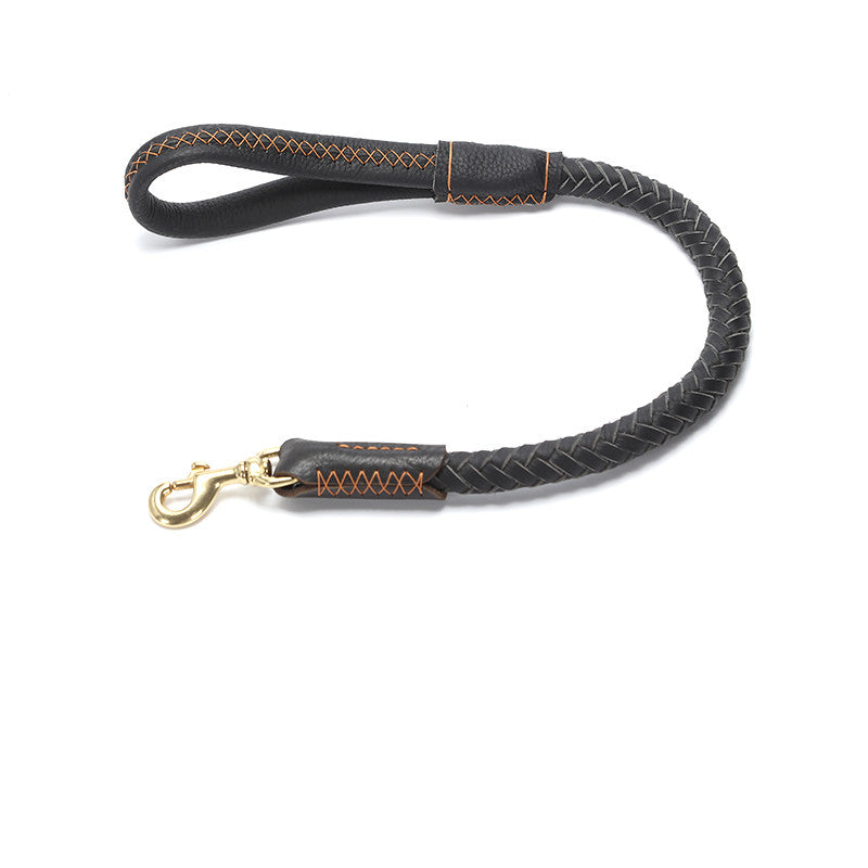 Adjustable Leather Dog Leash for Medium and Large Breeds