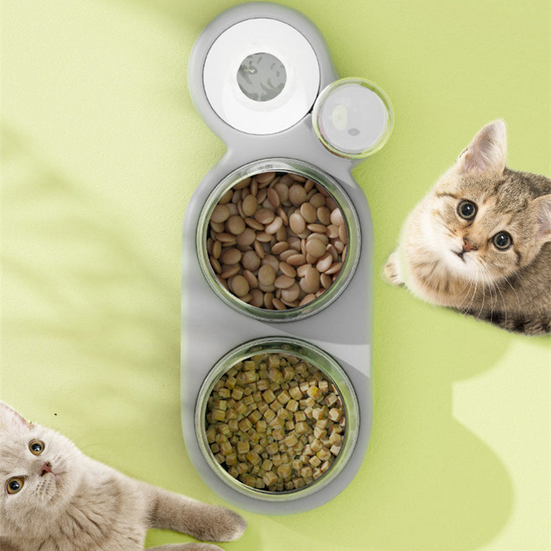 Double Bowls Pet Feeder Container for Cats and Dogs