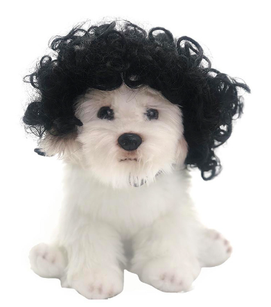 Fetch-ionable Dog Wig – Pet Party Accessory