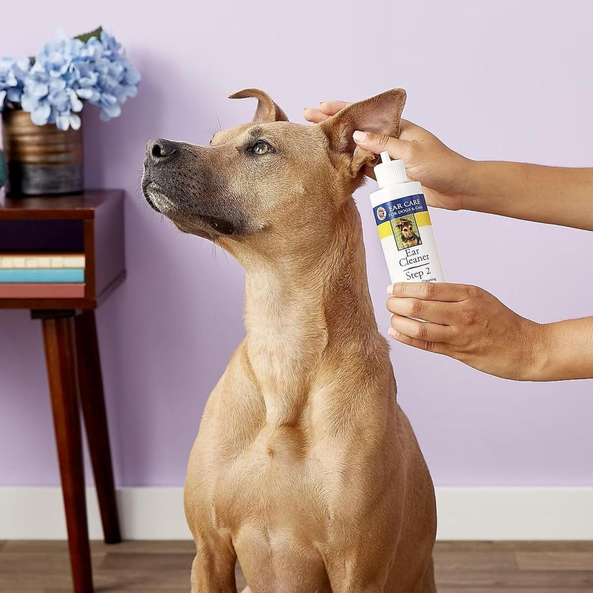 Ear Cleaner for Dogs and Cats, 8 Ounce