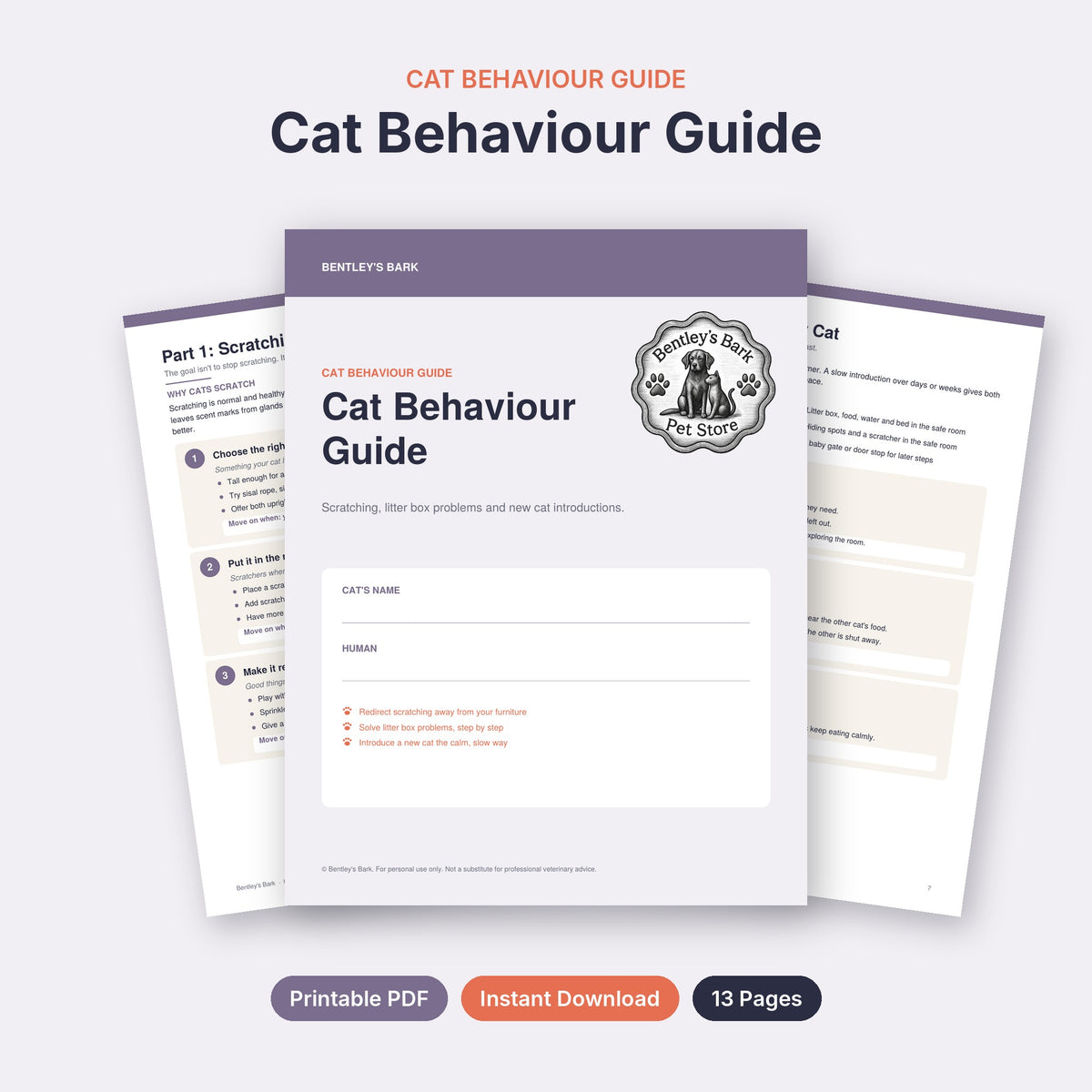How it works: buy, download the PDF and print at home on US Letter paper