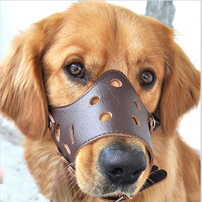 Dispositif anti-aboiement pour animaux et muselière anti-morsure pour chiens