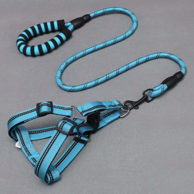 Dog Leash & Chest Harness Set