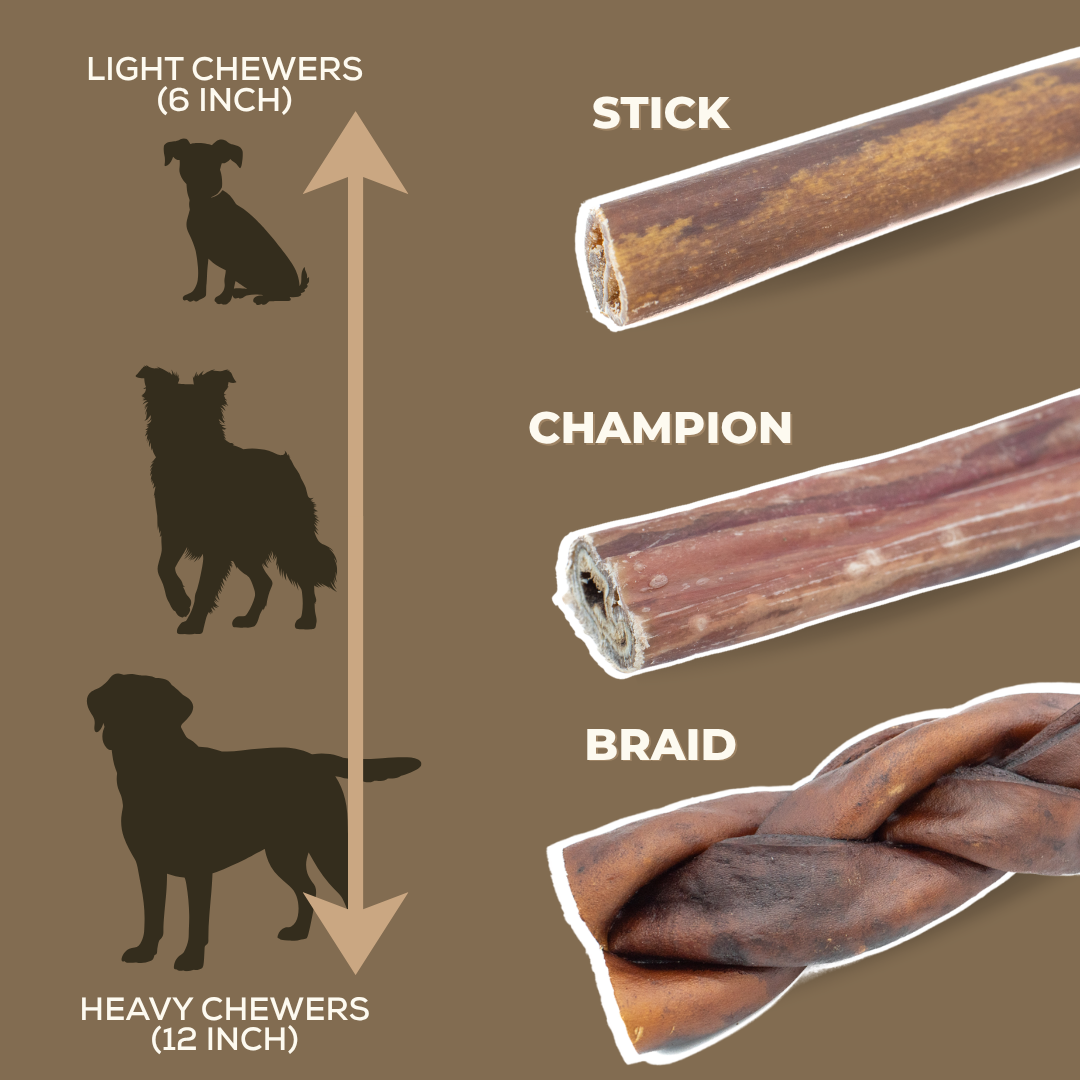 10-12 Inch Champion Chew