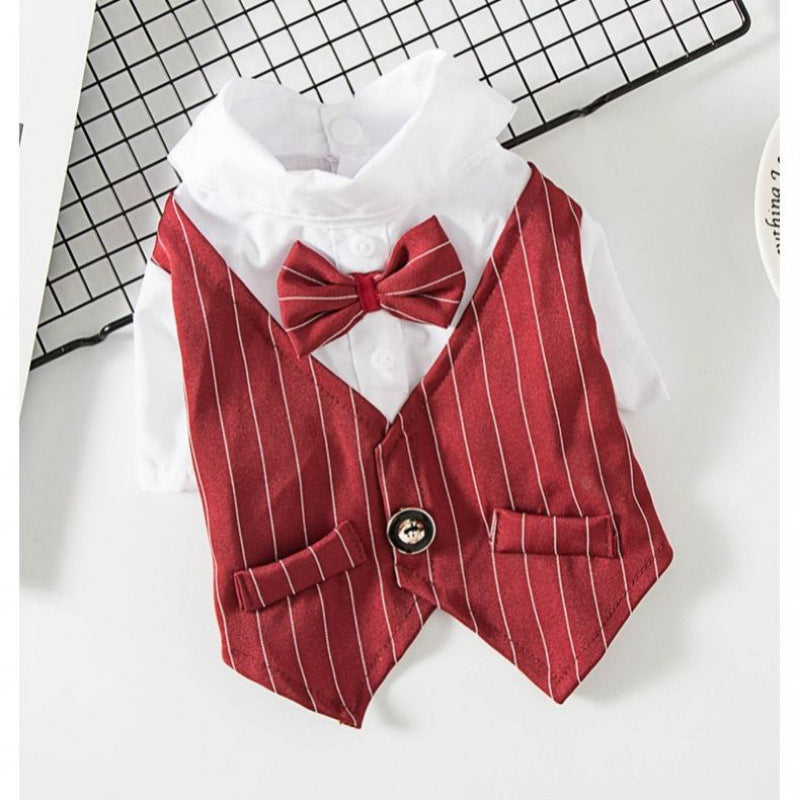 Summer Suit for Small Dogs and Cats (Teddy & Pomeranian)