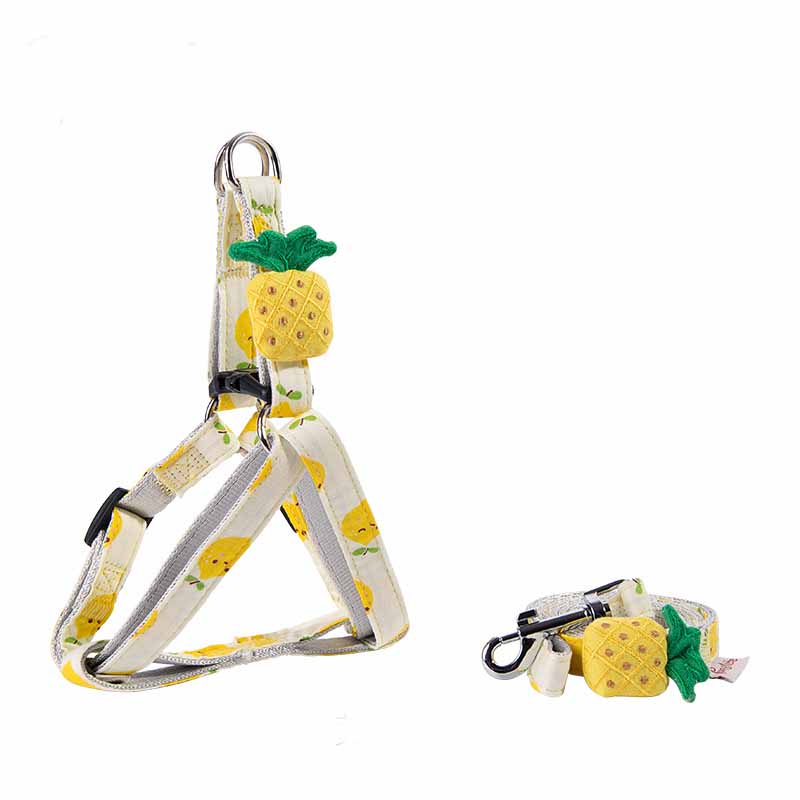 Fruit Series Cat or Dog Collars and Leash