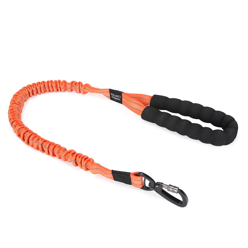 Elastic Dog Leash for Small to Large Breeds