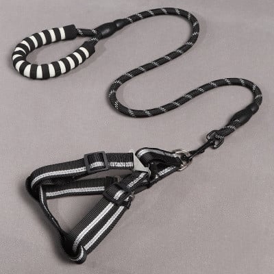 Dog Leash & Chest Harness Set