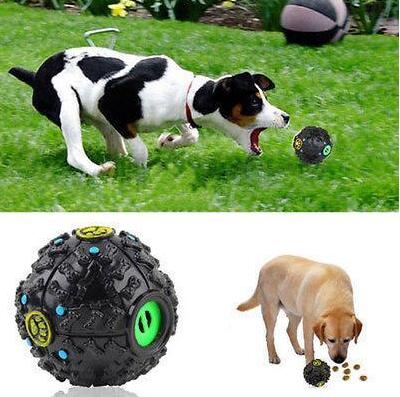 Dog Treat Ball