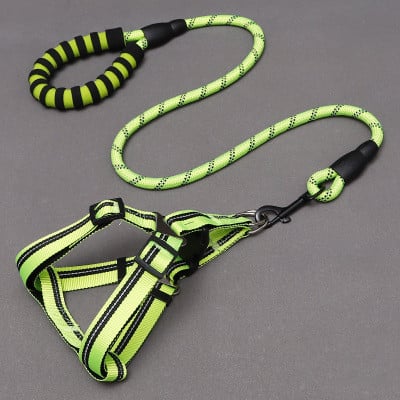 Dog Leash & Chest Harness Set