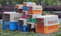 Pet Airline Carrier for Cats and Dogs