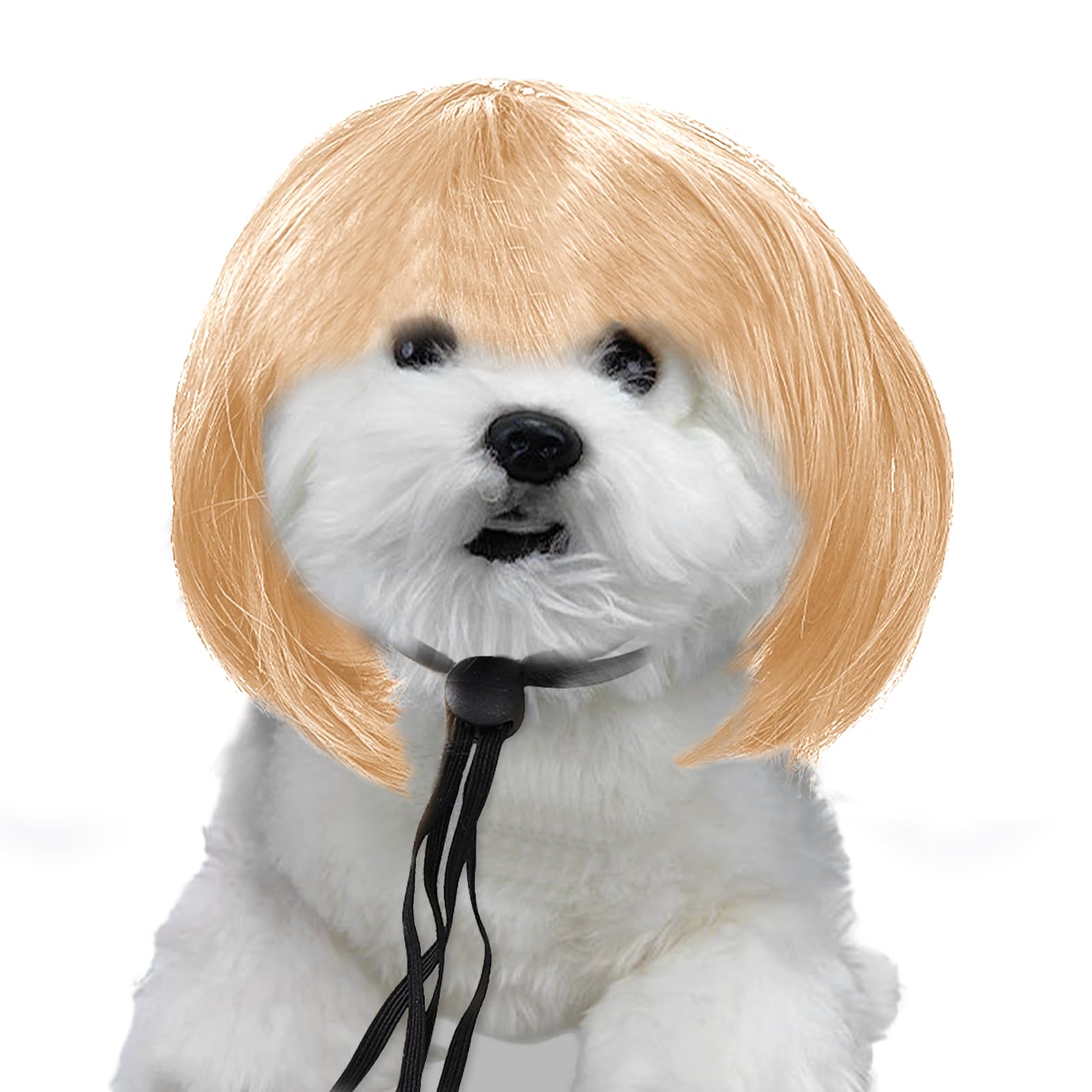 Blonde Hair Dog Wig