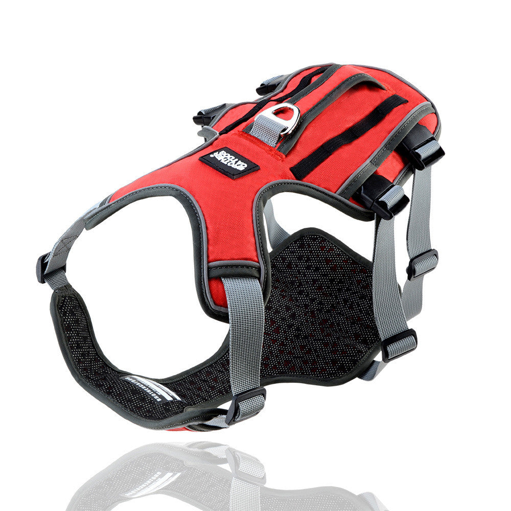 Adjustable Nylon Dog Harness and Leash Set