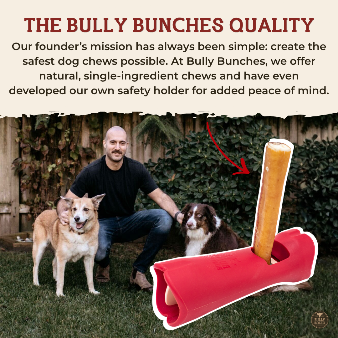 10-12 Inch Champion Chew