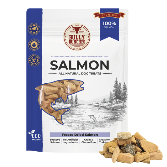 Saumon lyophilisé 100g / 3,5oz