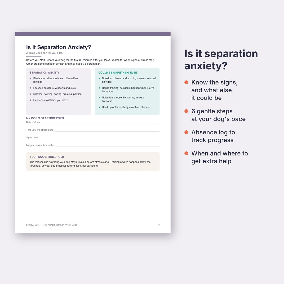 Page comparing signs of separation anxiety with boredom, house training and noise fears