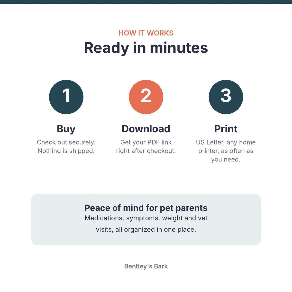 How it works: buy, download your PDF and print at home on US Letter paper; meds, symptoms and vet visits in one place