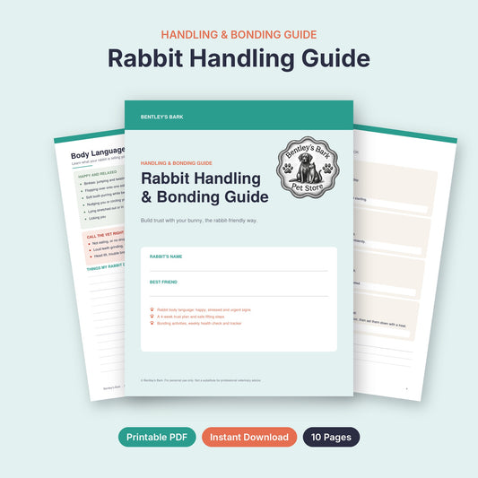 Rabbit Handling and Bonding Guide printable PDF cover with the Bentley's Bark logo and inside pages