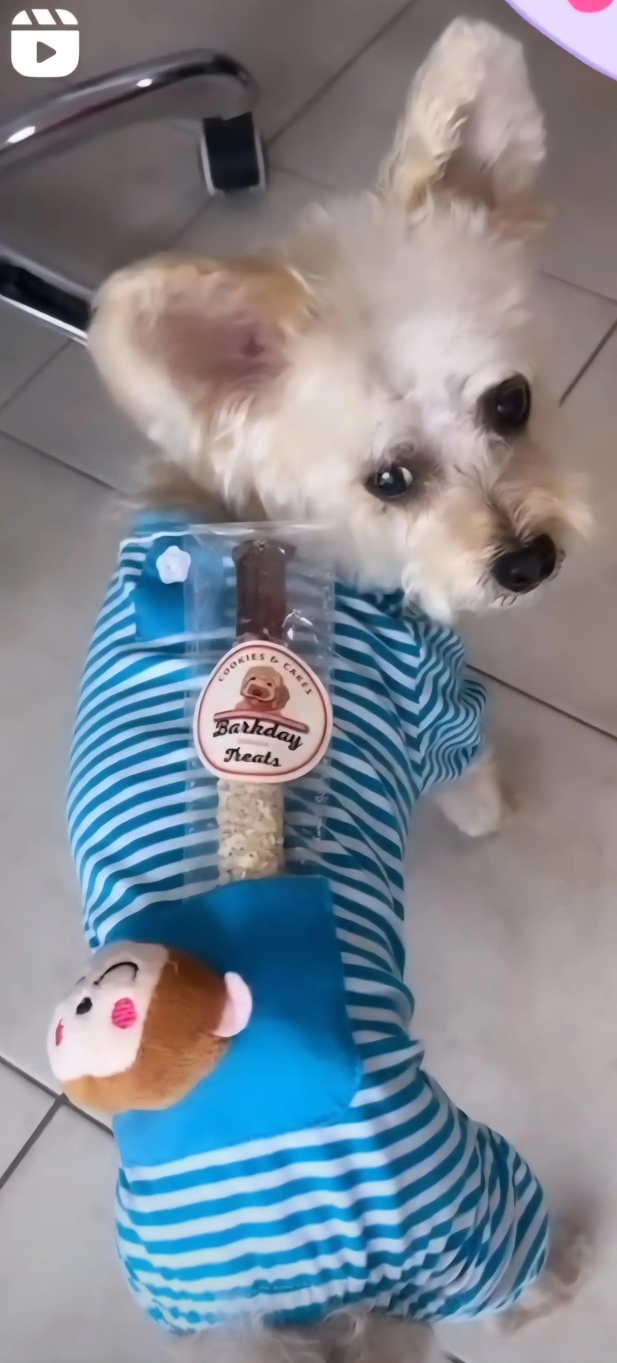 Rosie's Sweet Potato Chew Sticks For Dogs